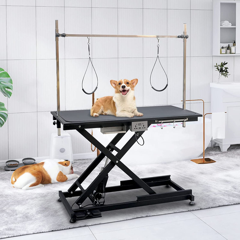 SoarFlash 36 H x 49.6 W x 26 D Metal Adjustable Dog Electric Grooming Table